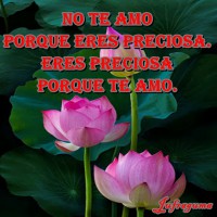 /album/fotogaleria/no-te-amo1-jpg/